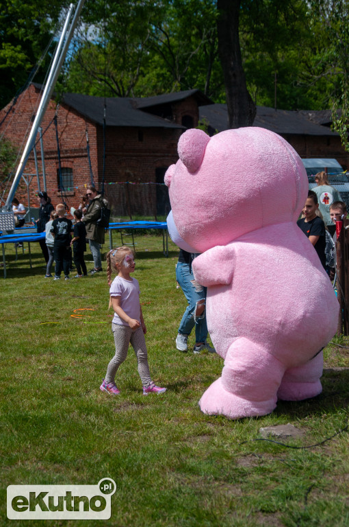 Piknik Rodzinny w gminie Nowe Ostrowy