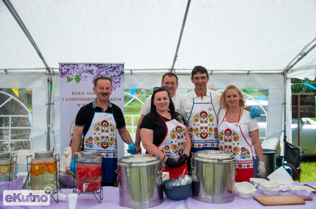Piknik Rodzinny w gminie Nowe Ostrowy