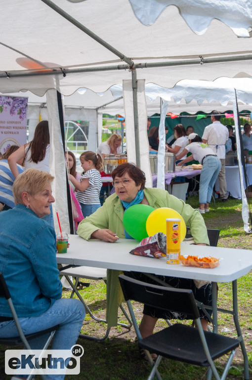 Piknik Rodzinny w gminie Nowe Ostrowy