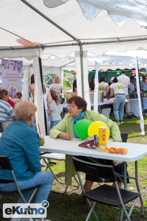 Piknik Rodzinny w gminie Nowe Ostrowy