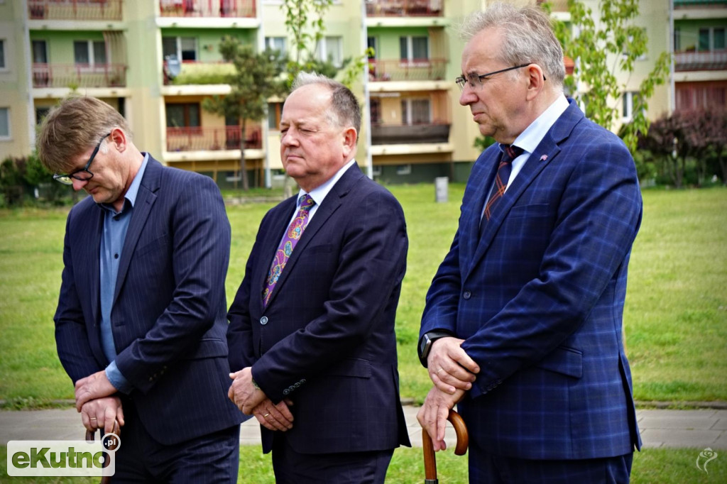 Powstała aleja platanów