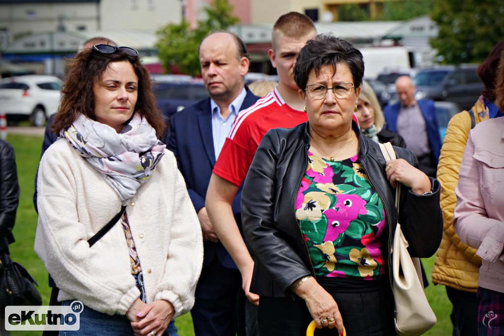 Powstała aleja platanów