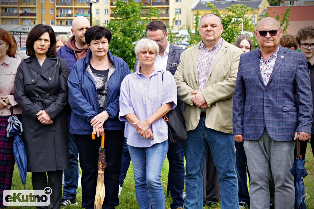 Powstała aleja platanów