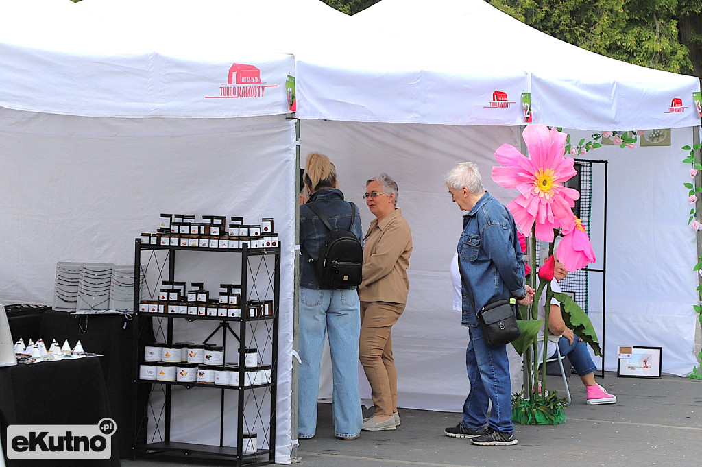 Piknik wśród róż w centrum Kutna