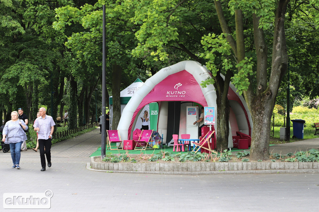 Piknik wśród róż w centrum Kutna