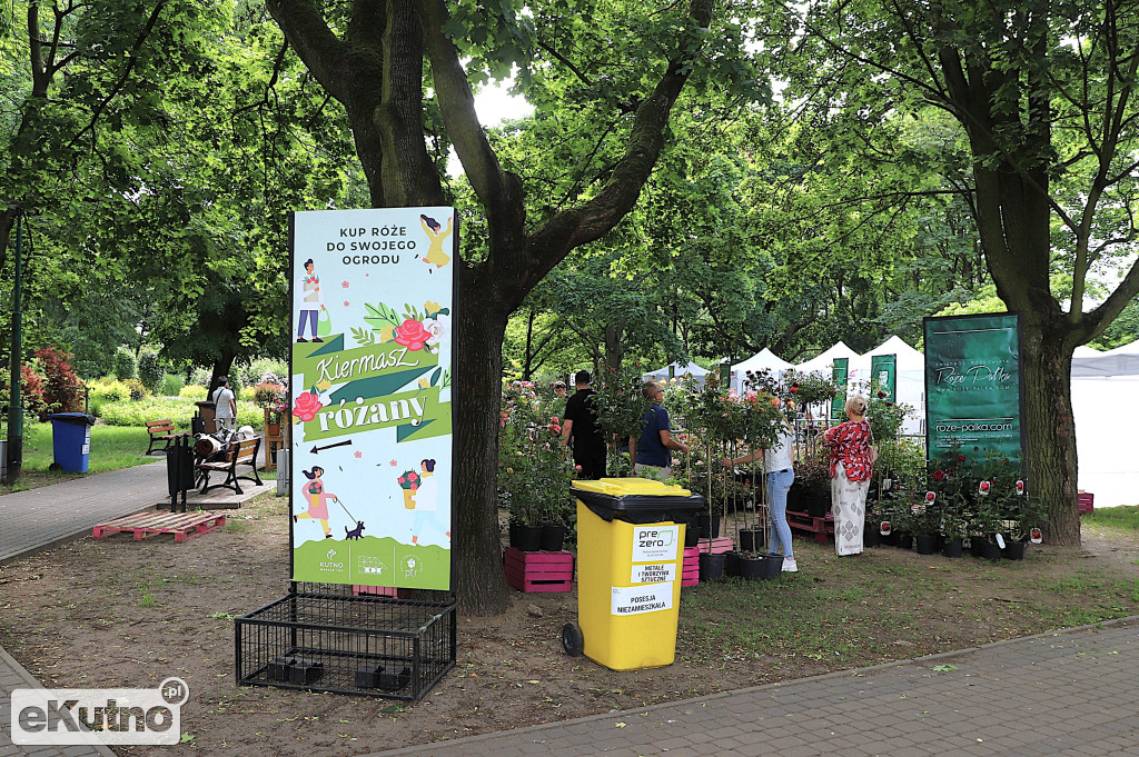 Piknik wśród róż w centrum Kutna