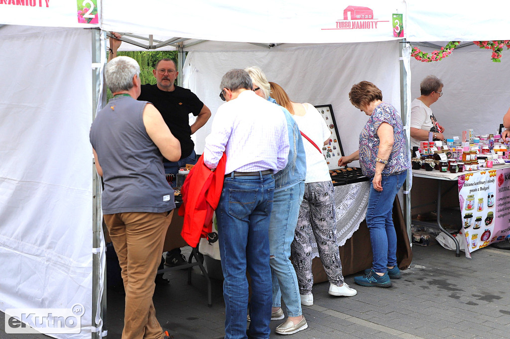 Piknik wśród róż w centrum Kutna