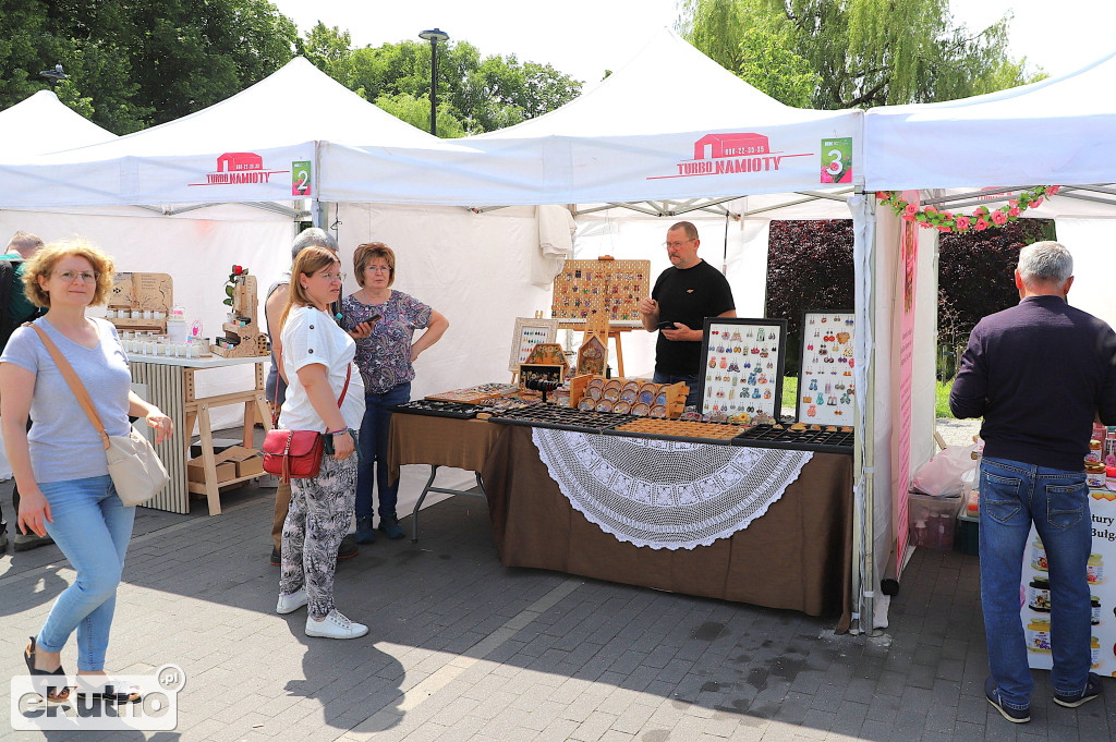 Piknik wśród róż w centrum Kutna