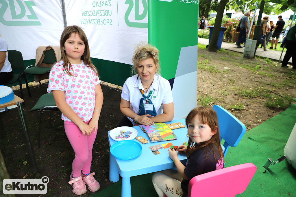 Piknik wśród róż w centrum Kutna