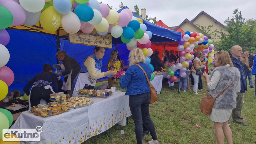 Bezpieczny powiat - Piknik w Strzelcach