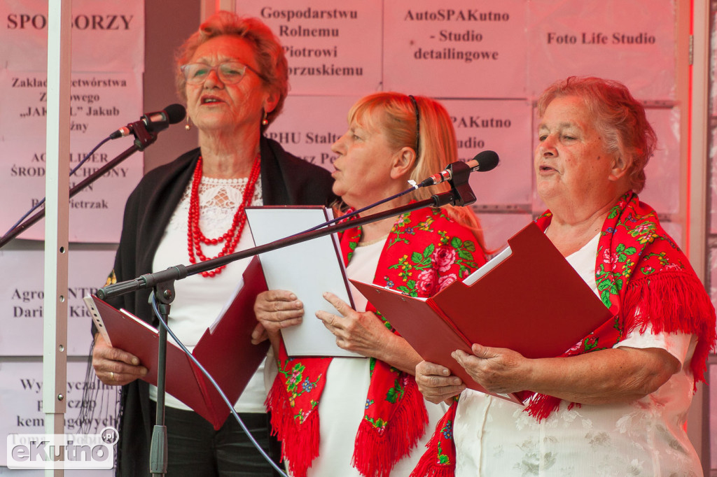 Piknik Rodzinny w Pniewie