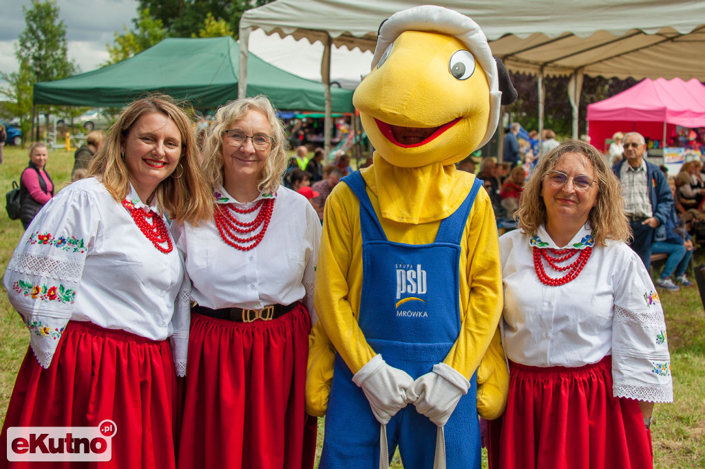 Piknik Rodzinny w Pniewie