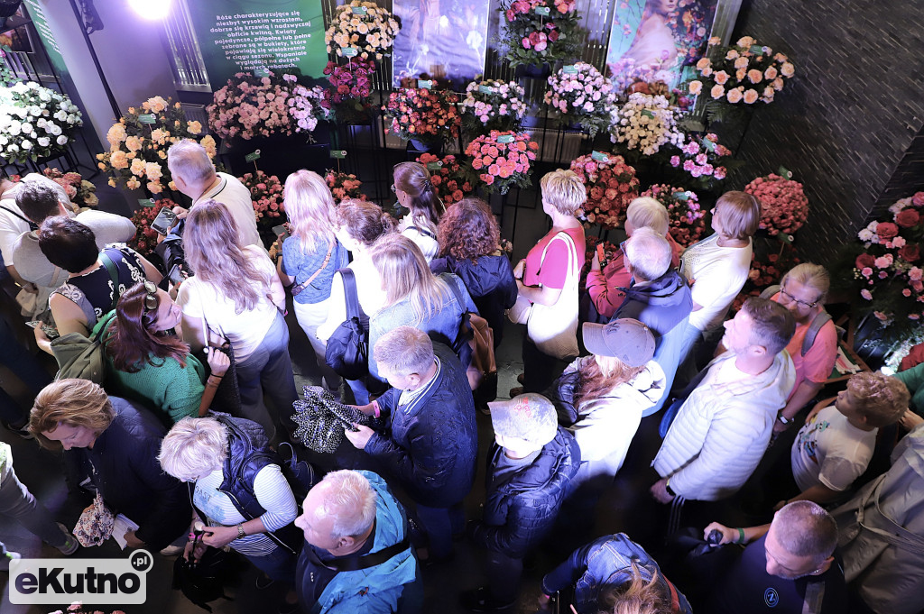 Deszczowe przedpołudnie na Święcie Róży