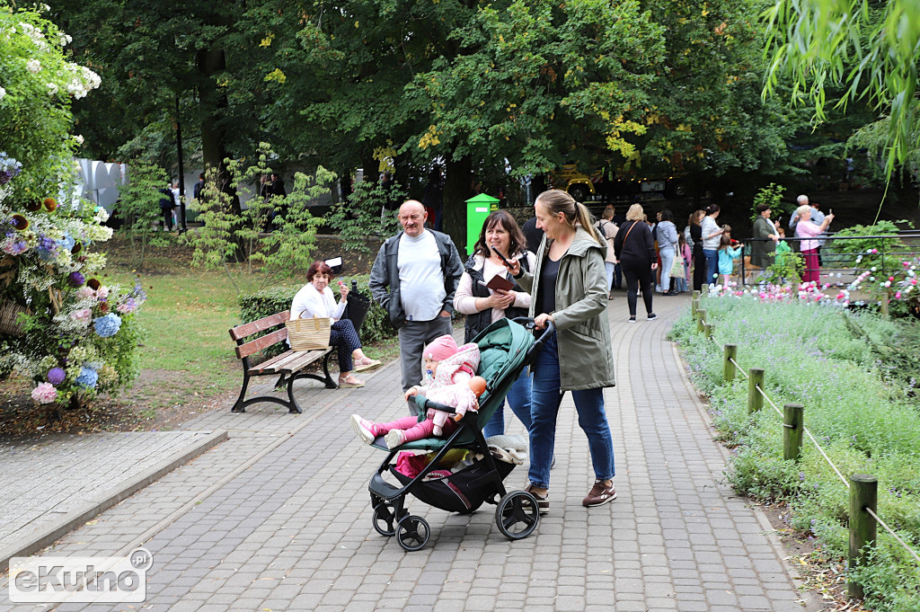 Ostatni dzień Święta Róży 2025