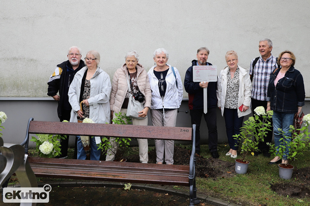 Sadzili hortensje przy Willi dr. A. Troczewskiego