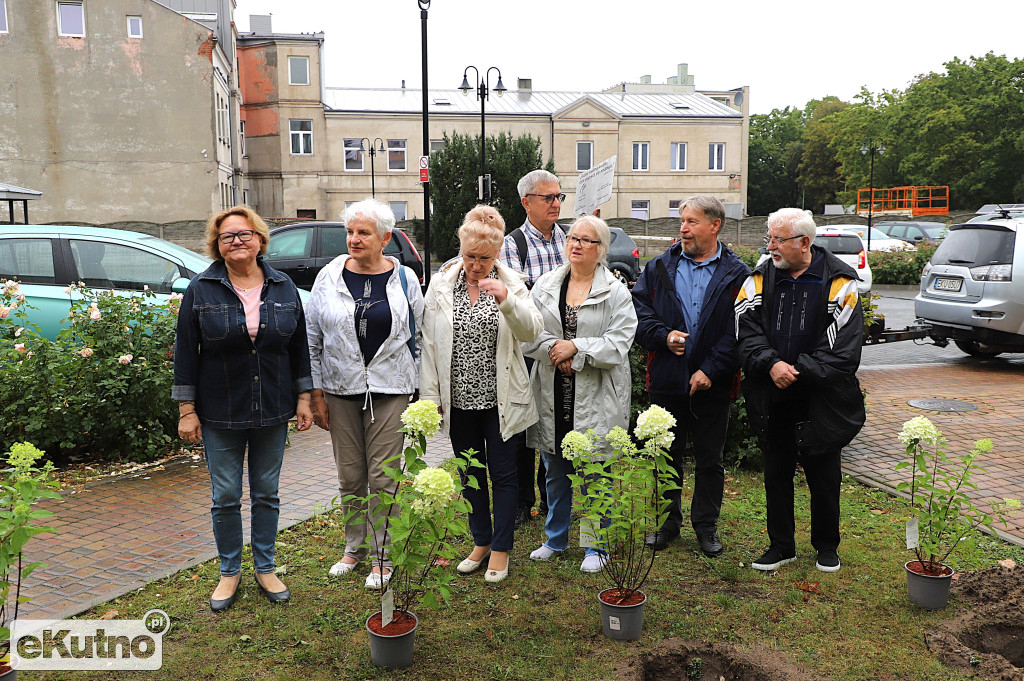 Sadzili hortensje przy Willi dr. A. Troczewskiego