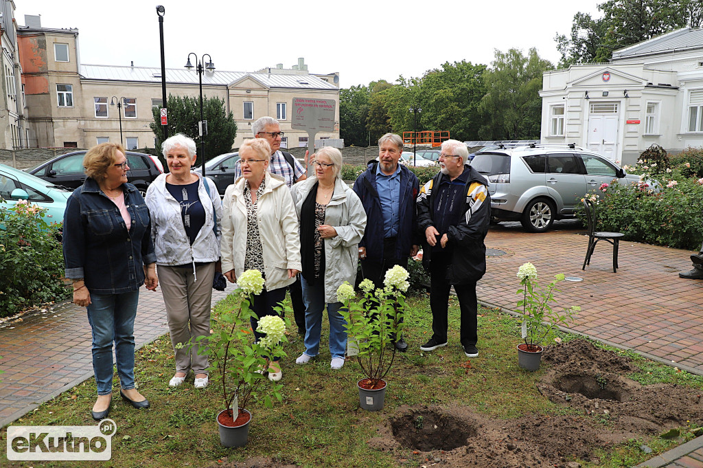 Sadzili hortensje przy Willi dr. A. Troczewskiego