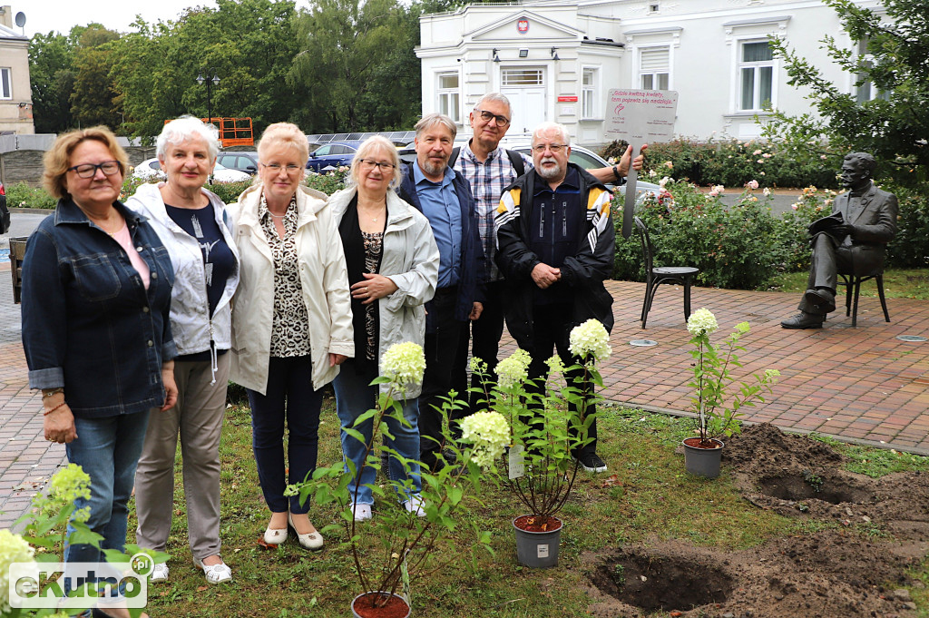 Sadzili hortensje przy Willi dr. A. Troczewskiego