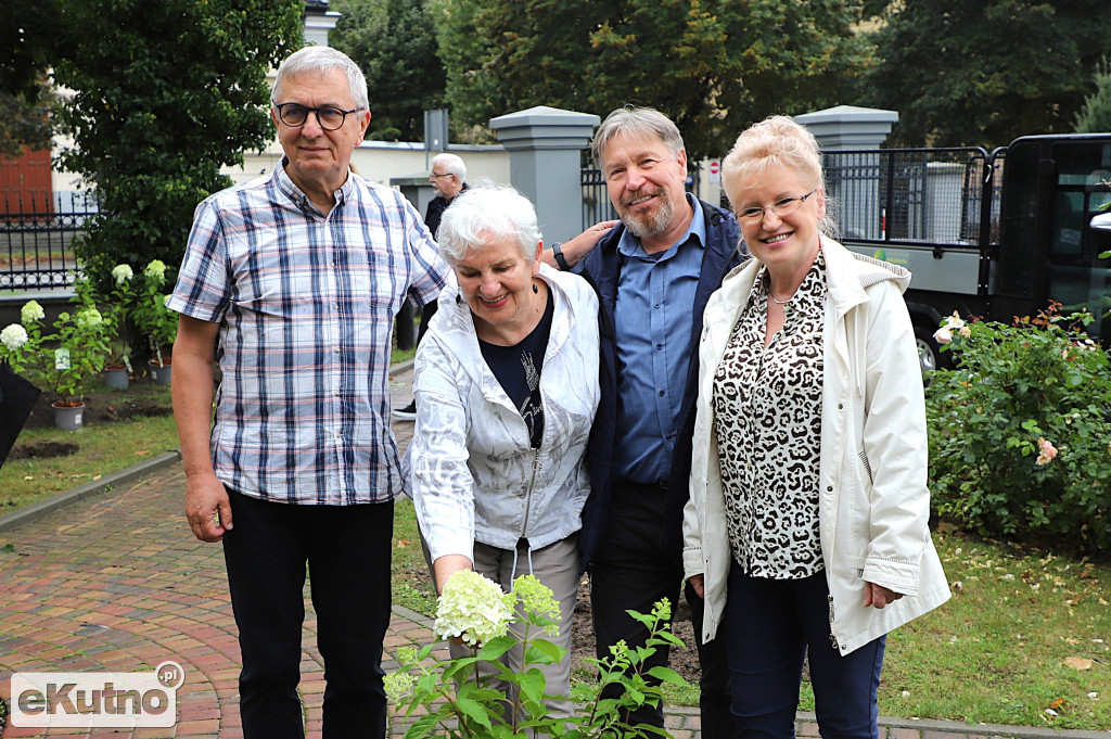 Sadzili hortensje przy Willi dr. A. Troczewskiego