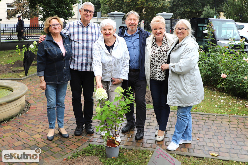 Sadzili hortensje przy Willi dr. A. Troczewskiego