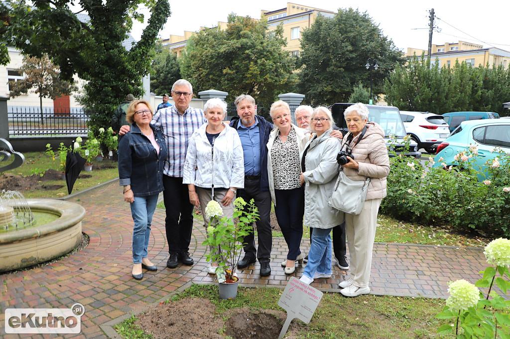 Sadzili hortensje przy Willi dr. A. Troczewskiego