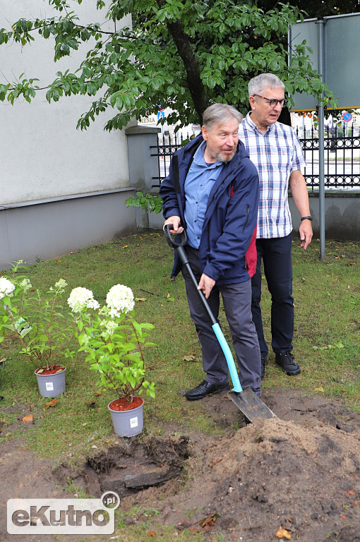 Sadzili hortensje przy Willi dr. A. Troczewskiego