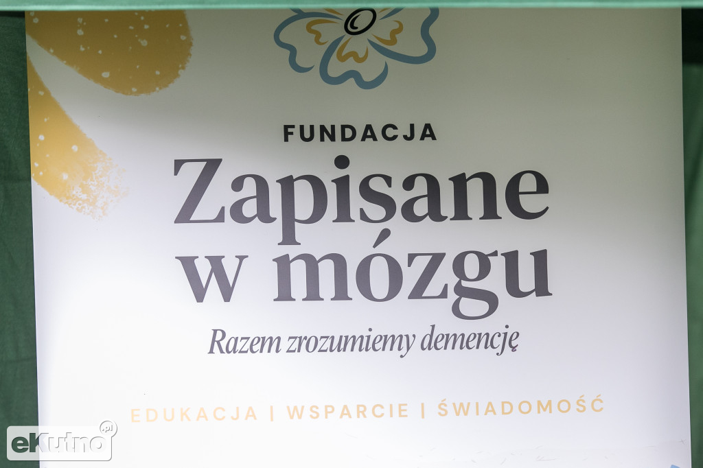 AlzRun i Piknik Edukacyjno-Informacyjny