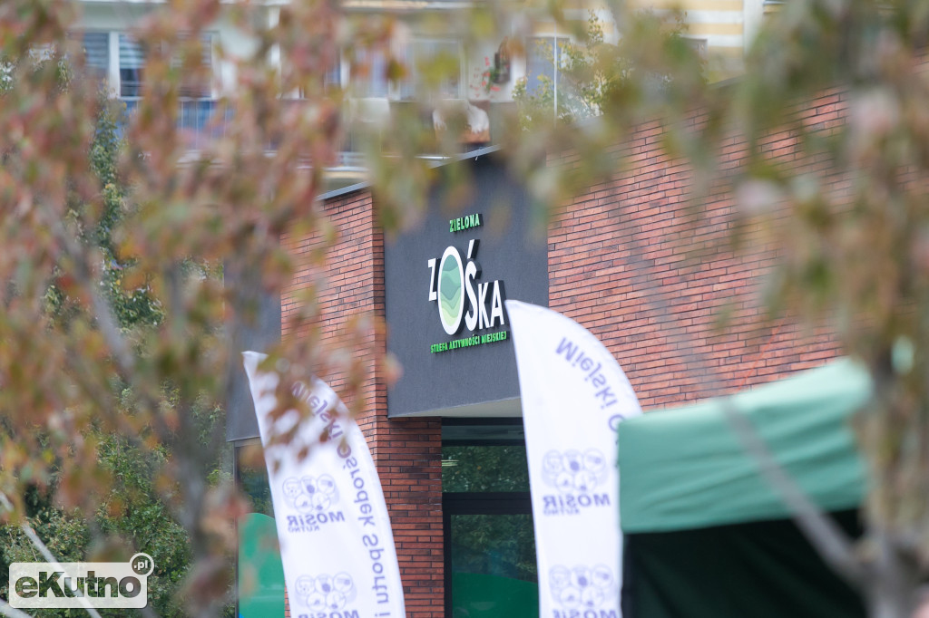 AlzRun i Piknik Edukacyjno-Informacyjny