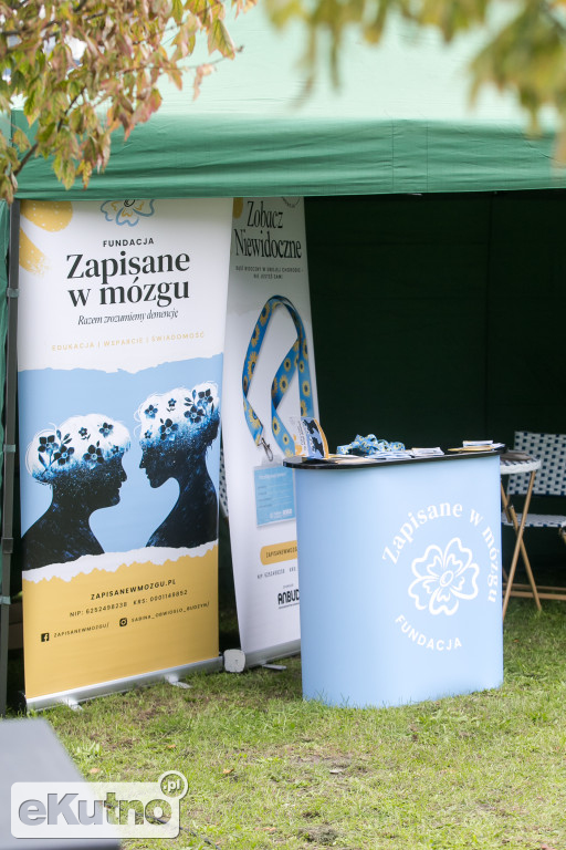 AlzRun i Piknik Edukacyjno-Informacyjny