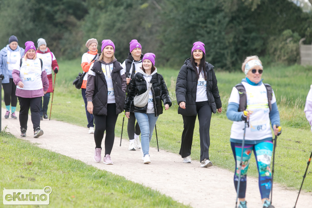 AlzRun i Piknik Edukacyjno-Informacyjny