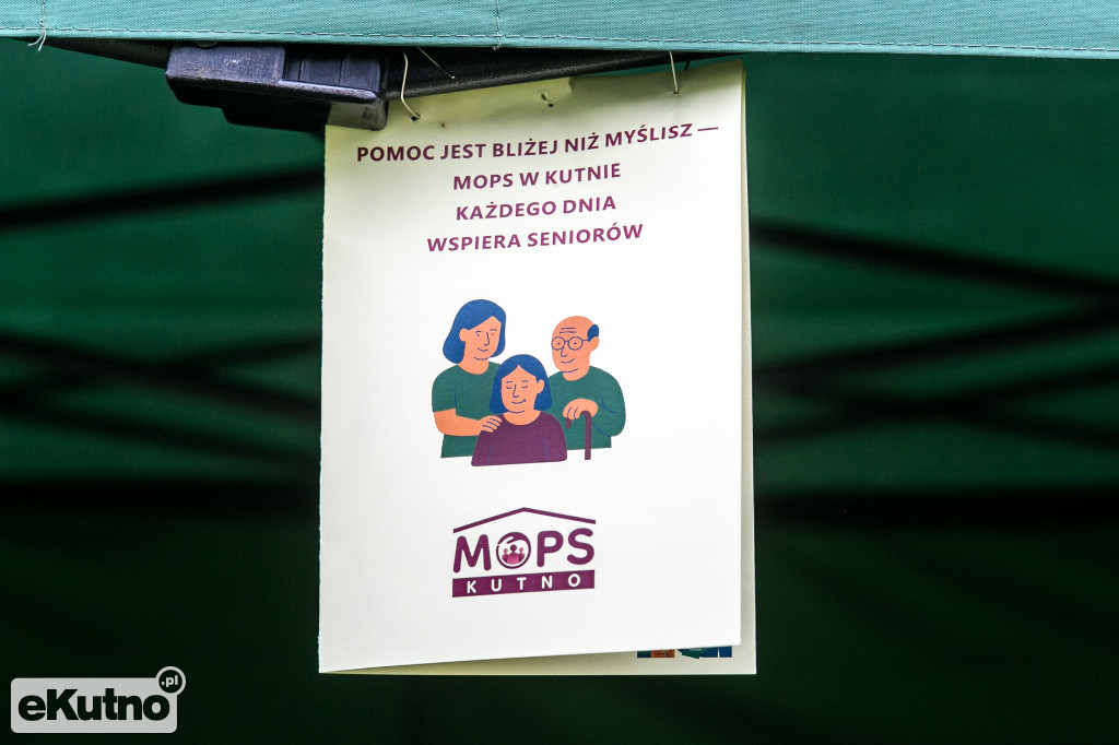 AlzRun i Piknik Edukacyjno-Informacyjny