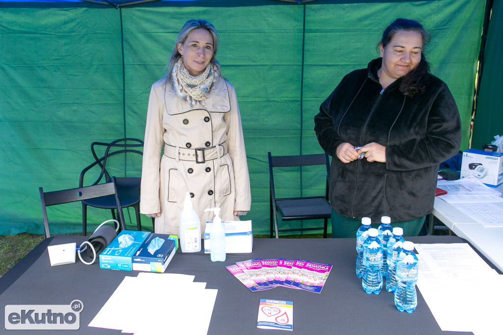 AlzRun i Piknik Edukacyjno-Informacyjny