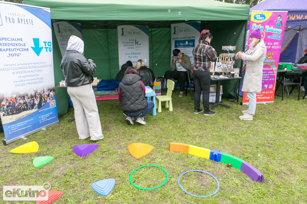 AlzRun i Piknik Edukacyjno-Informacyjny