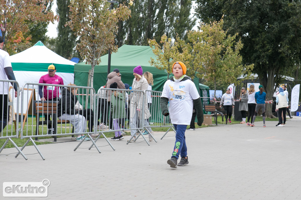 AlzRun i Piknik Edukacyjno-Informacyjny