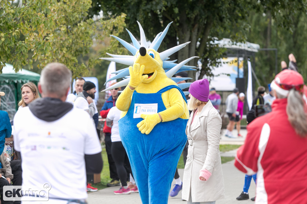 AlzRun i Piknik Edukacyjno-Informacyjny
