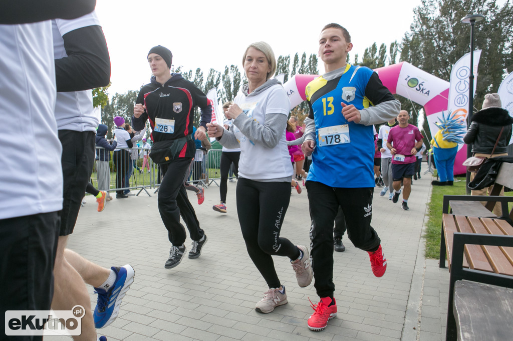 AlzRun i Piknik Edukacyjno-Informacyjny