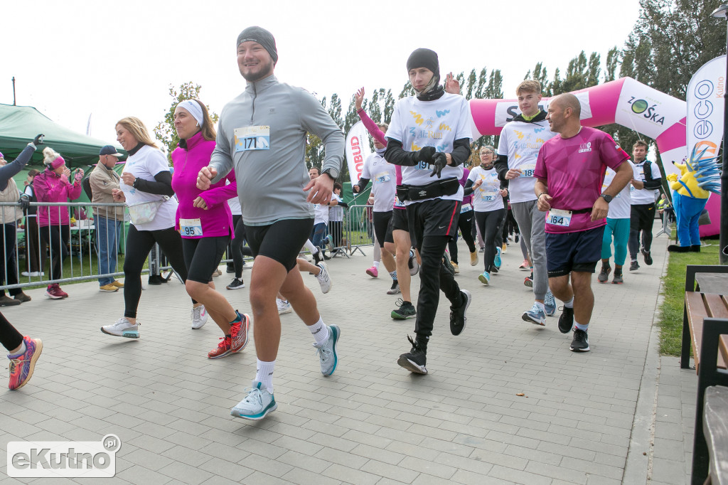 AlzRun i Piknik Edukacyjno-Informacyjny