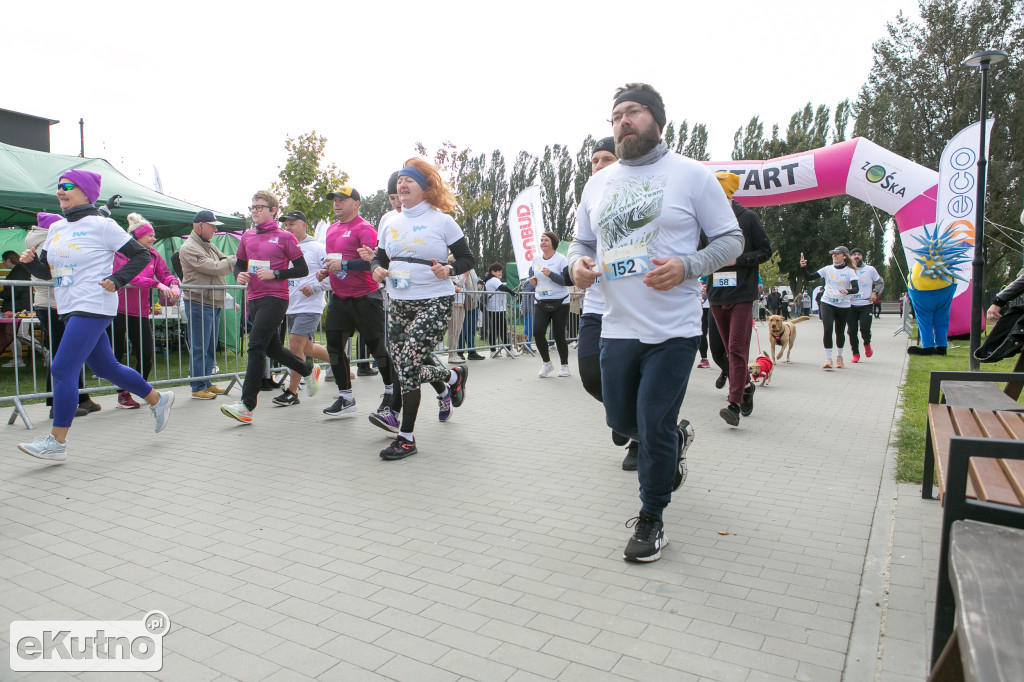 AlzRun i Piknik Edukacyjno-Informacyjny