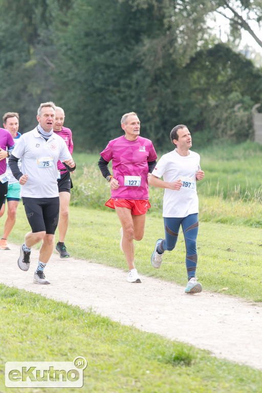 AlzRun i Piknik Edukacyjno-Informacyjny