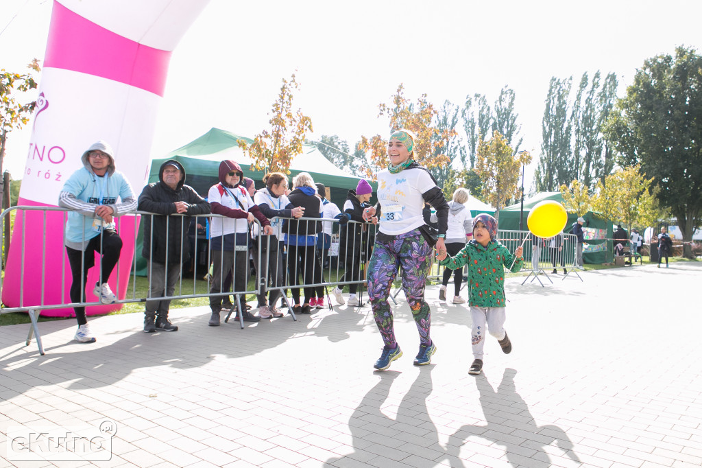 AlzRun i Piknik Edukacyjno-Informacyjny