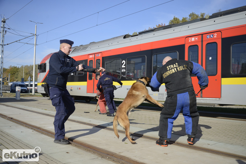 Szkolenie dla przewodników psów