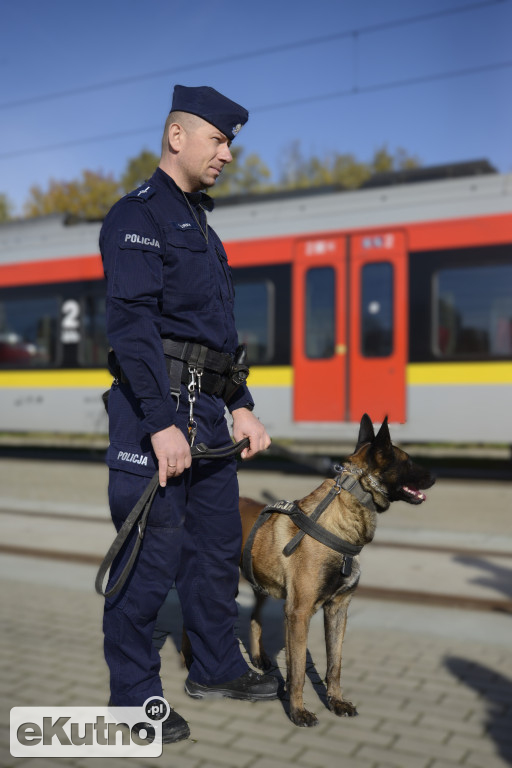 Szkolenie dla przewodników psów