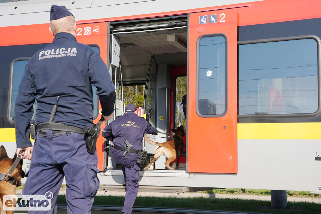 Szkolenie dla przewodników psów