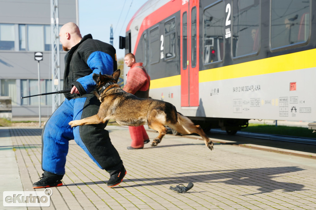 Szkolenie dla przewodników psów