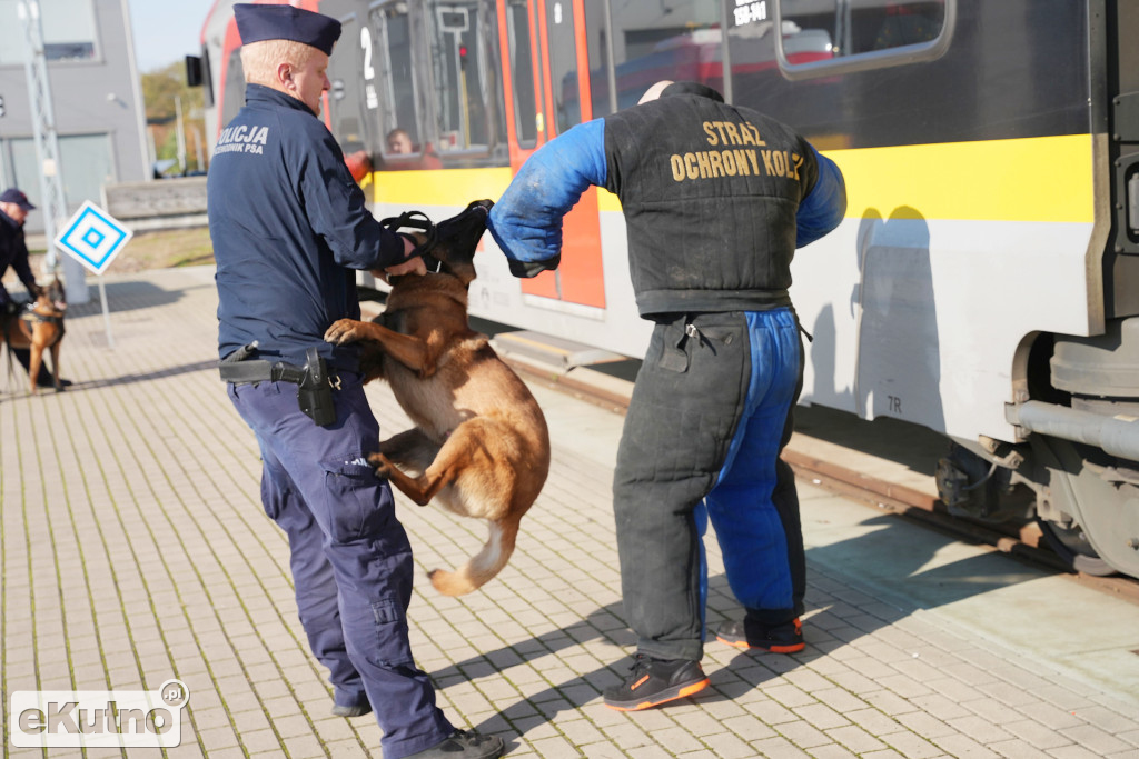 Szkolenie dla przewodników psów