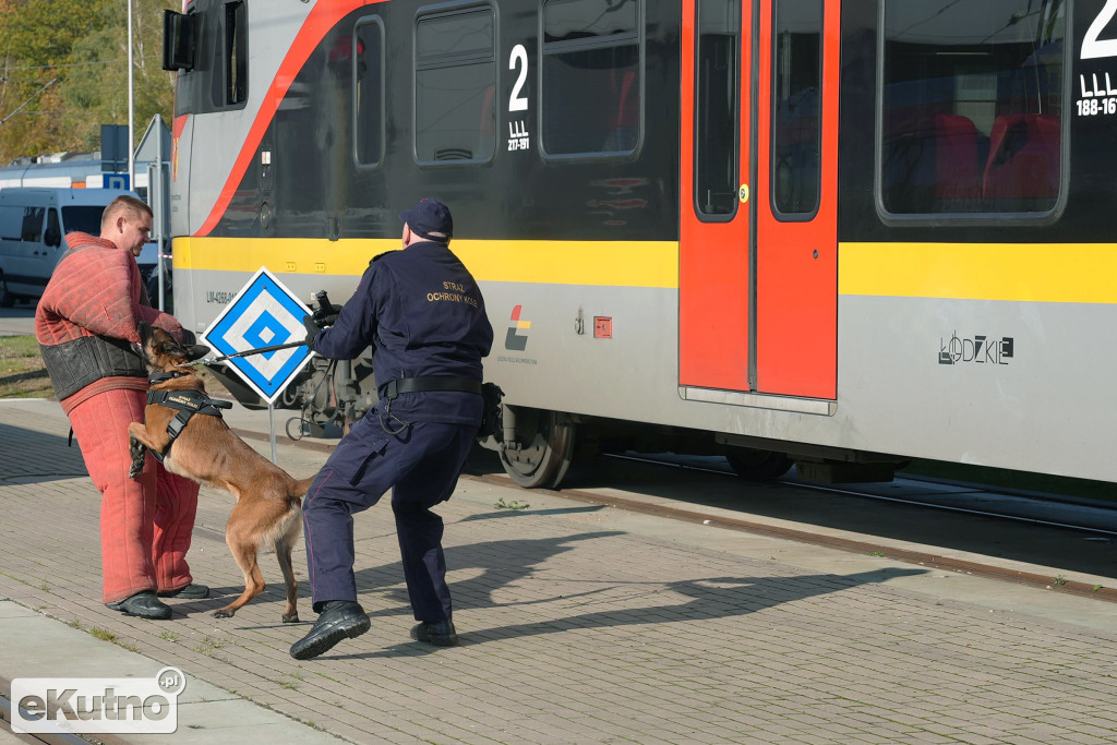 Szkolenie dla przewodników psów