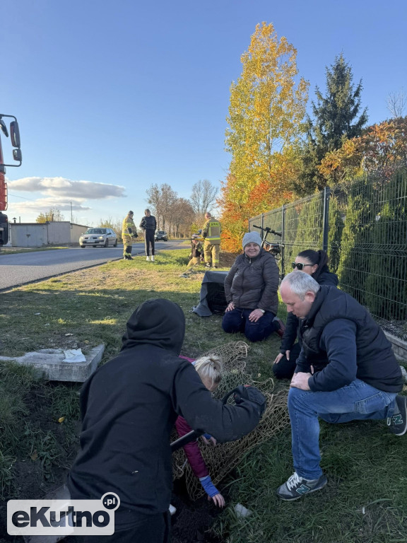 Akcja ratownicza