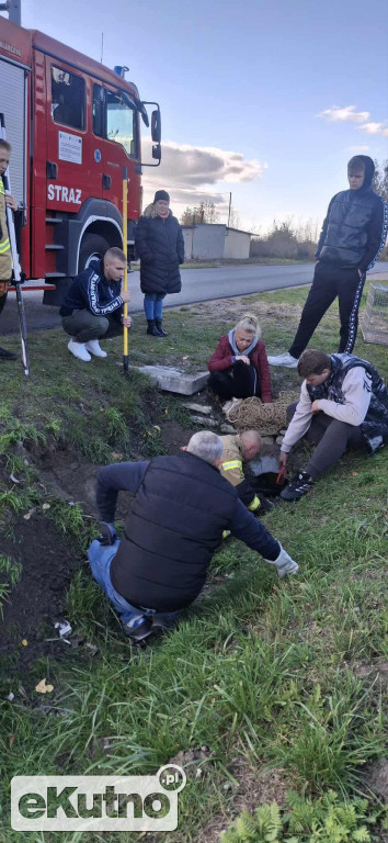 Akcja ratownicza