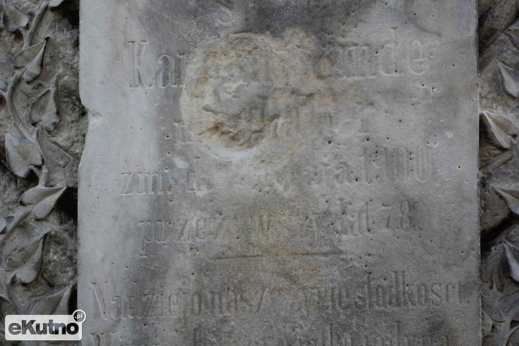 X Kwesta w Krośniewicach