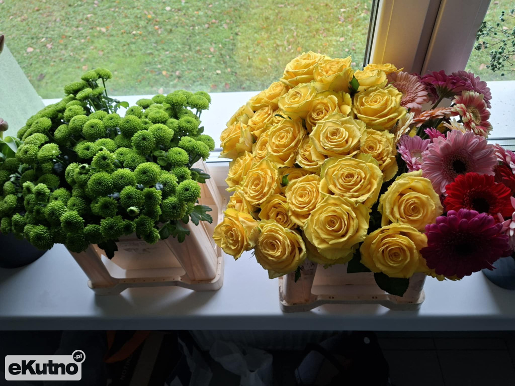 Hortiterapia – zapachy, kolory i relaks